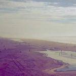 Nikko Bauch Profile Picture