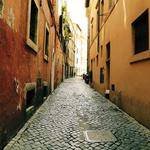 Carroll Romaguera Profile Picture